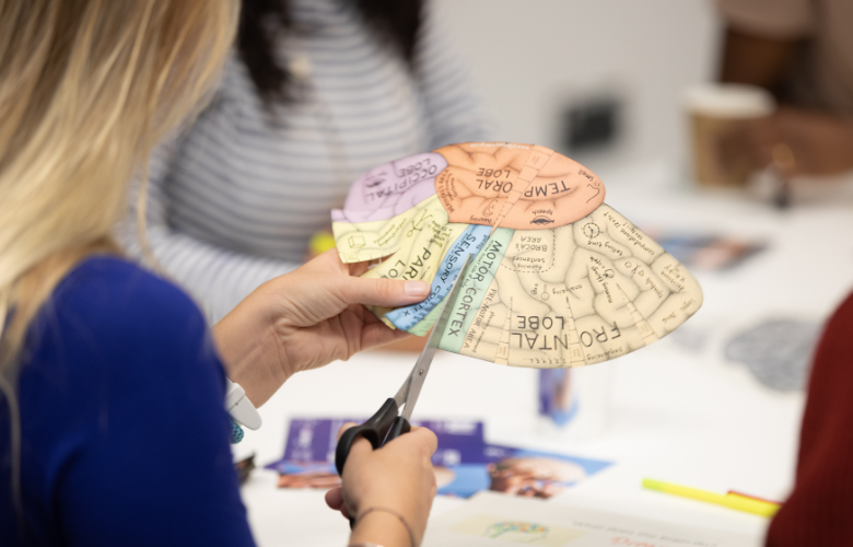 Close up of person's hand cutting out a paper diagram showing different areas of the brain