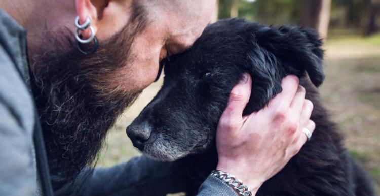 Sideways view of man holding an old dog and looking sad 